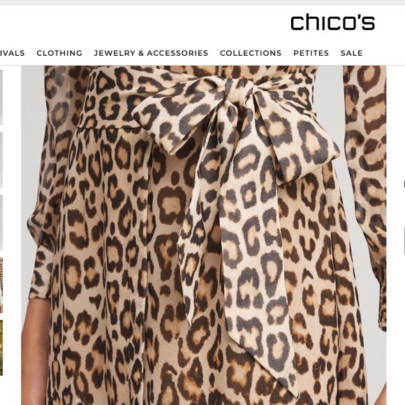 Chico's Cheetah-Print Godet Maxi Dress in Briar Brown Size 00. NWT!!! - Picture 3 of 8